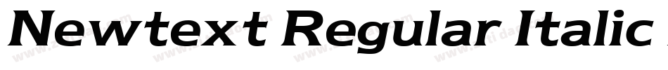 Newtext Regular Italic BT字体转换